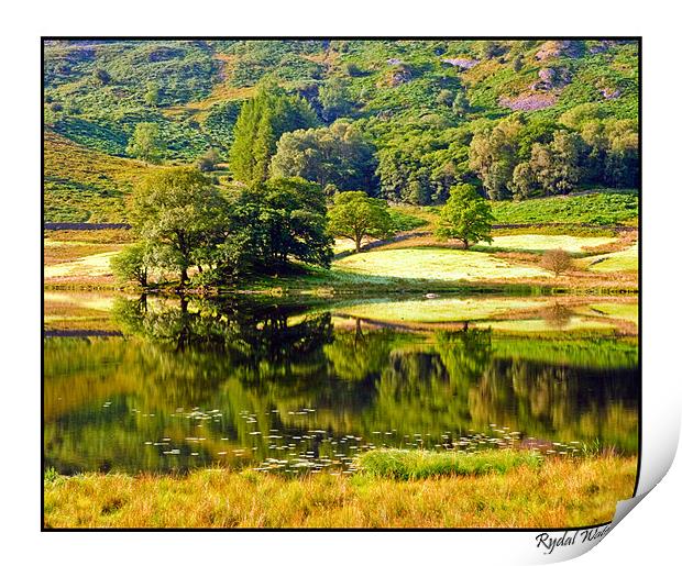 Rydal water Reflections Print by eric carpenter