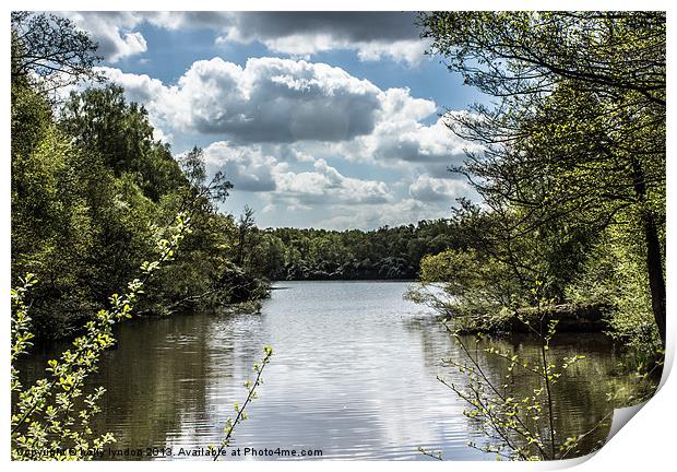 Lake Views Print by holly lyndon