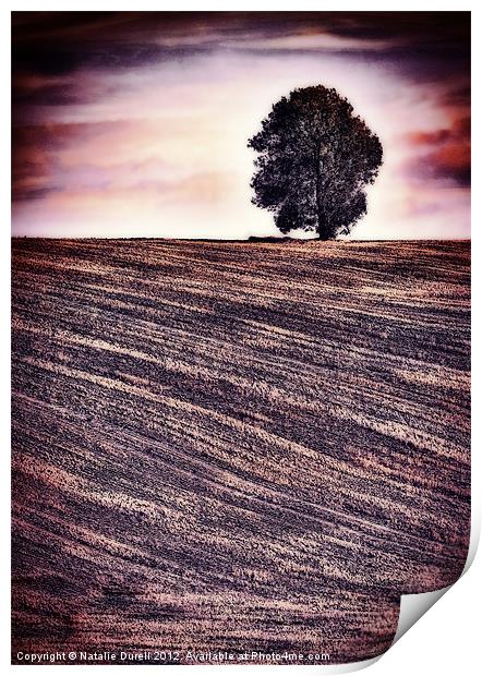 Ploughed & Ready Print by Natalie Durell