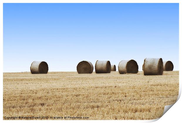 Hay Bales Print by Natalie Durell