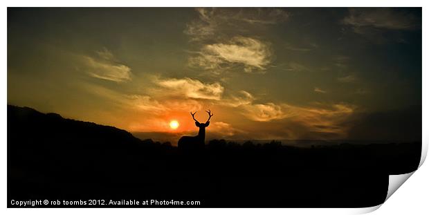 STAG NIGHT Print by Rob Toombs