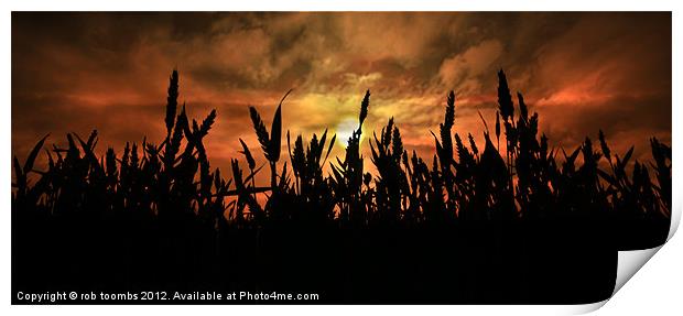 SUNSET FIELDS Print by Rob Toombs