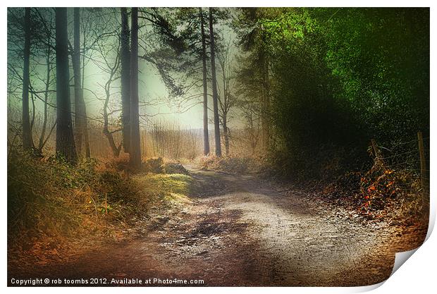 THE PATH Print by Rob Toombs