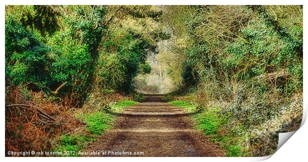 THE WOODLAND PATH Print by Rob Toombs