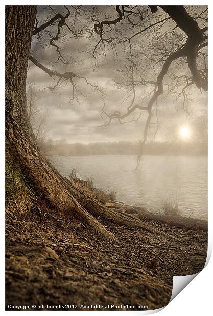 MOTE PARK SUNSET Print by Rob Toombs
