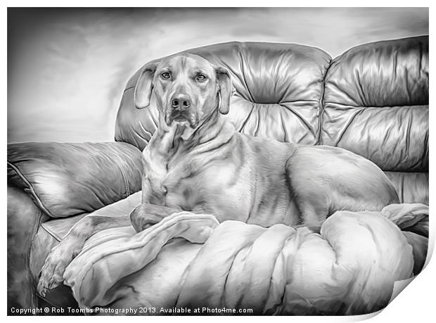 THE PROUD RIDGEBACK Print by Rob Toombs