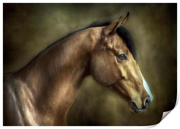 THE STALLION Print by Rob Toombs