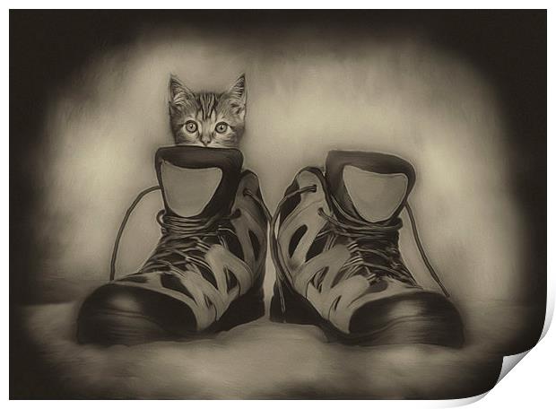 PUSS & BOOTS Print by Rob Toombs