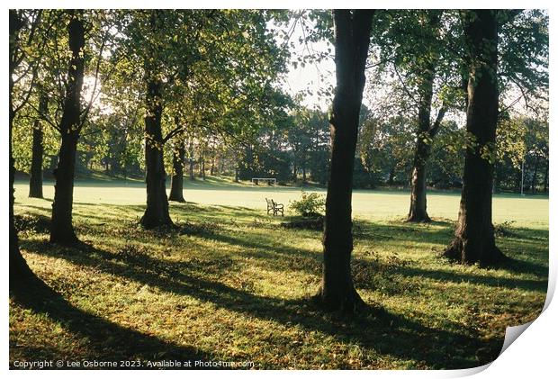 Golden Hour In The Park Print by Lee Osborne