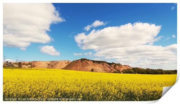 Greendykes Bing, West Lothian, Scotland Print by Lee Osborne