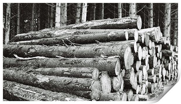 Logs Print by Lee Osborne