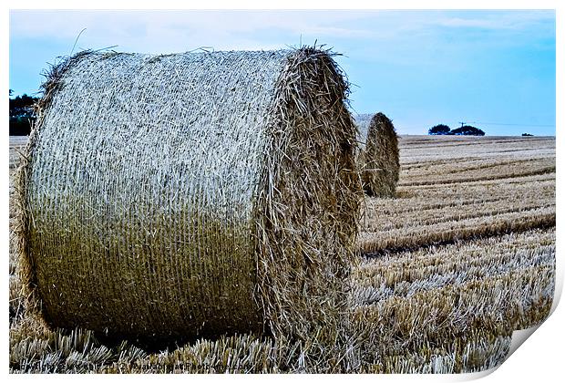 Straw Bail. Print by Lee Daly