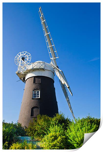 Restored Norfolk windmill. Print by Lee Daly