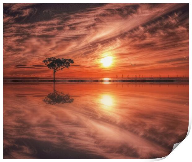 reflections Print by sue davies
