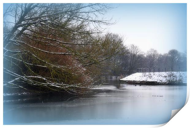 the lake Print by sue davies