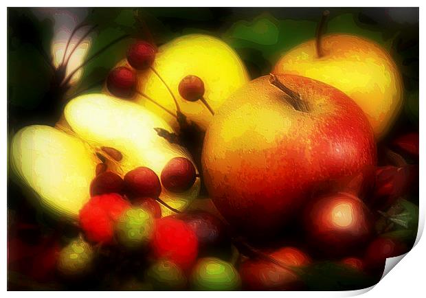  fruits Print by sue davies