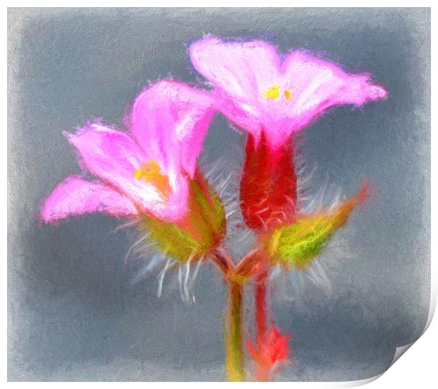 tiny wild flower Print by sue davies