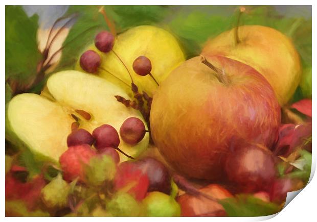 last of the summer fruits Print by sue davies
