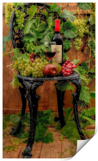 the vine Print by sue davies