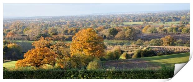 A view in Burwardsley Cheshire Print by sue davies