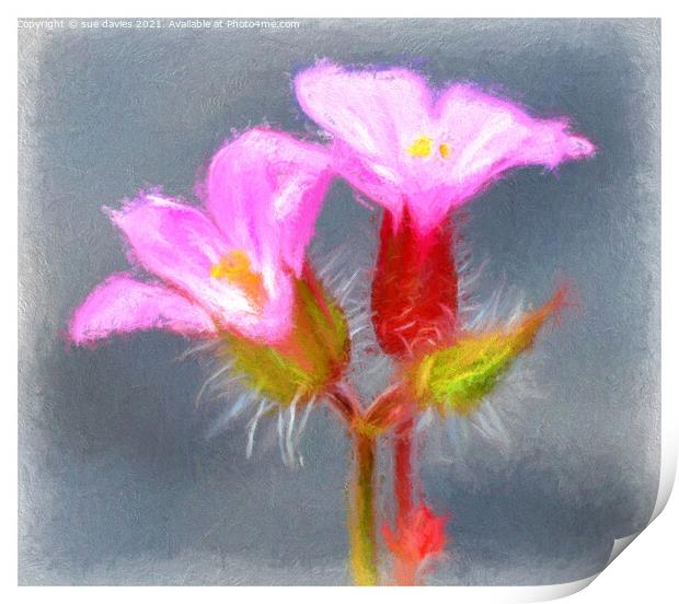 Plant flower Print by sue davies