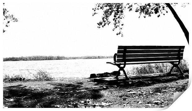  Beyond The Bench Print by Johnson's Productions