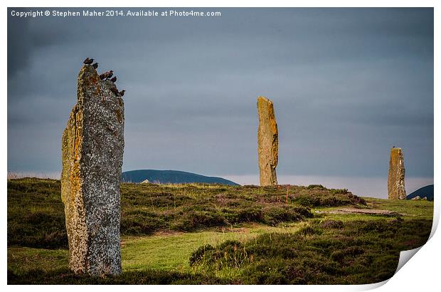  Birds on Orkney Standing Stone Print by Stephen Maher