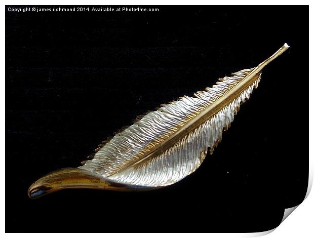 Feather on Black Print by james richmond