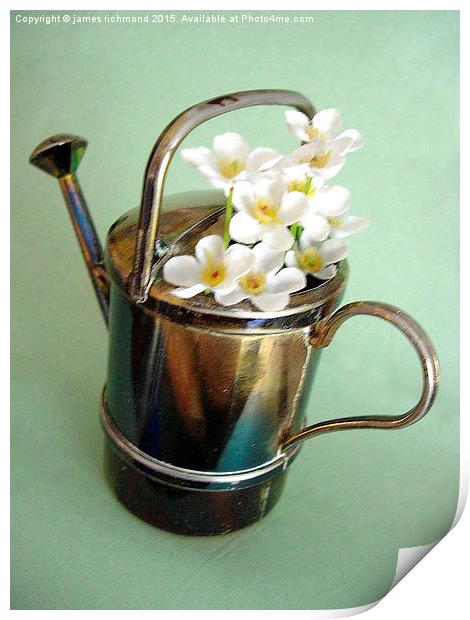  Floral Watering Can Print by james richmond