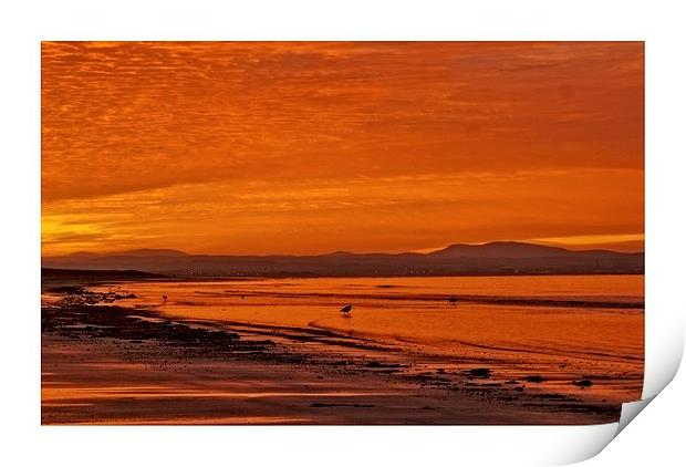 early morning seascape Print by jane dickie