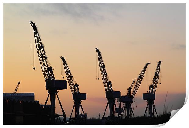 Cranes at sunset Print by Jill Bain