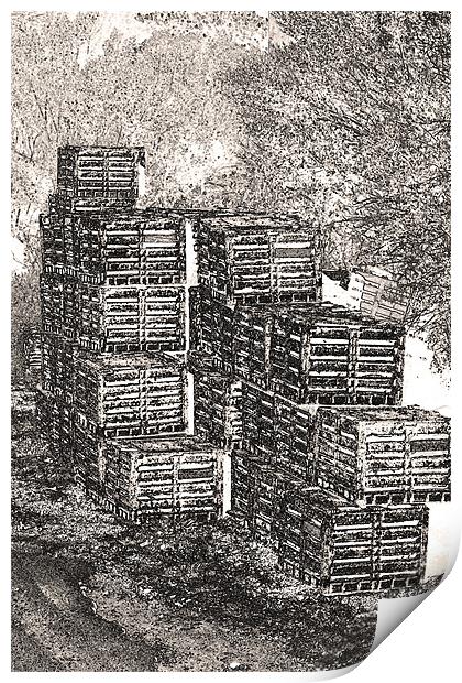 Fishing Net Crates Print by Thomas Grob