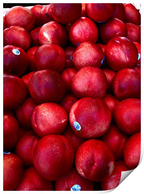 Ripe, Red Juicy Print by Thomas Grob