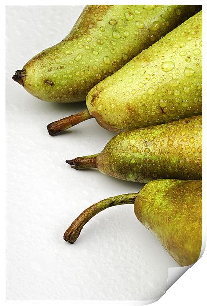 Pears over white Print by Josep M Peñalver