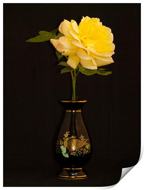 Rose And Vase Print by Clive Eariss