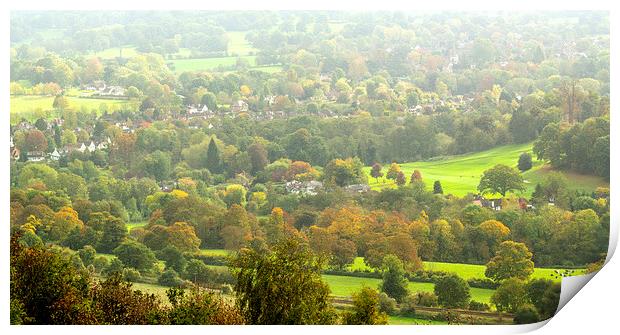 Box Hill View Point Print by Clive Eariss