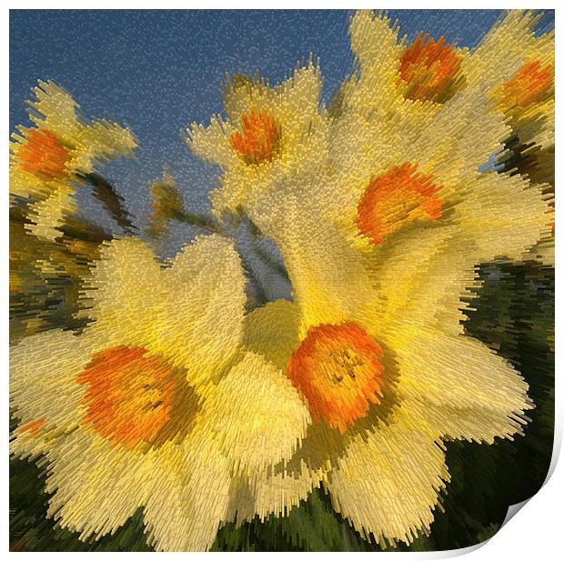 SPRING TIME FLOWERS Print by Clive Eariss