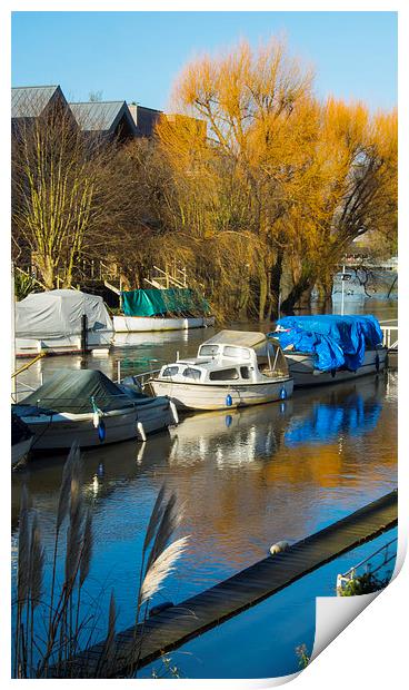 Moored boats Weybridge Surrey Print by Clive Eariss
