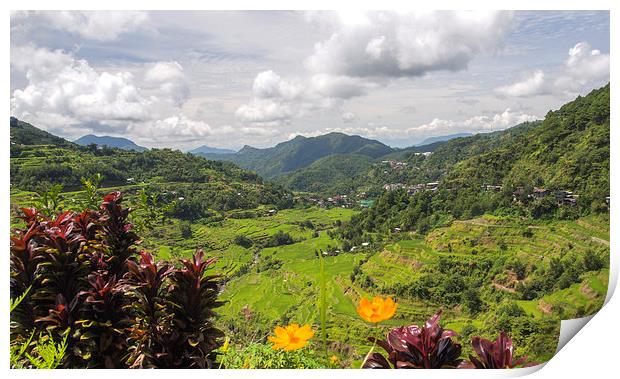  Banaue Rice Terraces Print by Clive Eariss