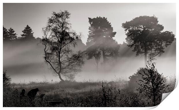 Mist Of Wisley Health Print by Clive Eariss