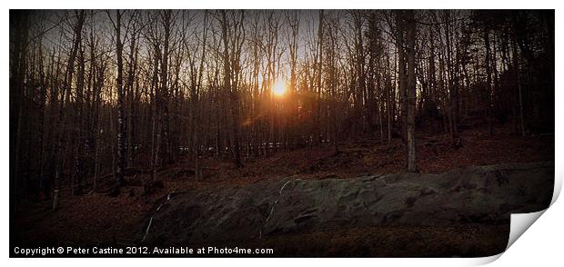 The Setting Sun Print by Peter Castine