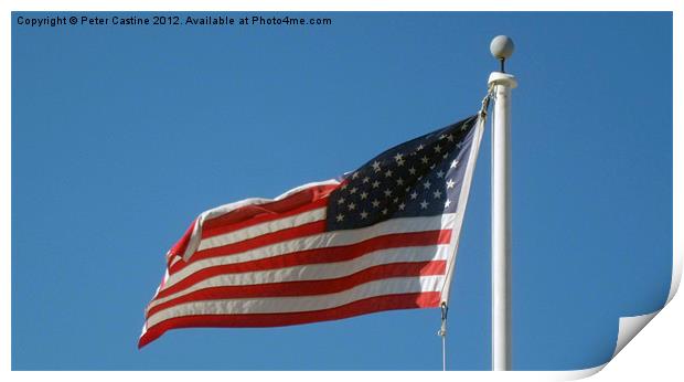 Old Glory Print by Peter Castine