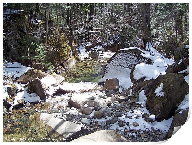 Baby Flume Dixville Notch Print by Peter Castine