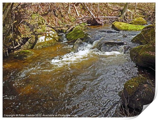 Mountain Stream Print by Peter Castine