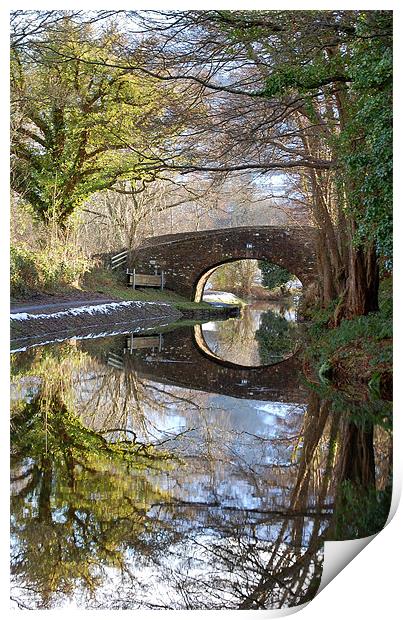 Winter canal scene - Llangattock Print by Mike Davies