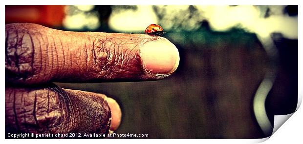 Ladybug on my finger Print by perriet richard