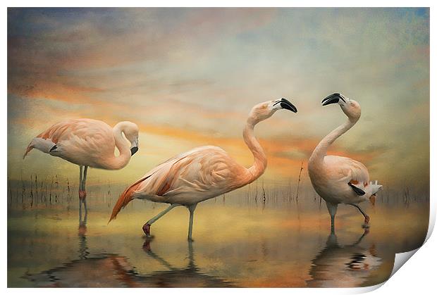 Chilean Flamingos Print by Brian Tarr