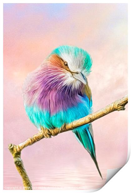 Lilac breasted roller perched on a tree branch Print by Brian Tarr