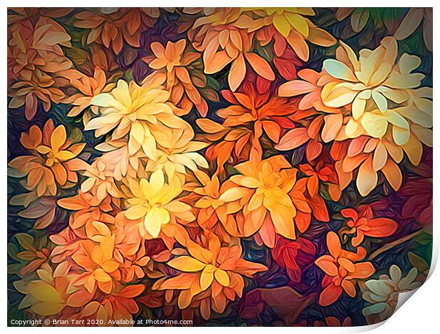 Autumn Glow Print by Brian Tarr