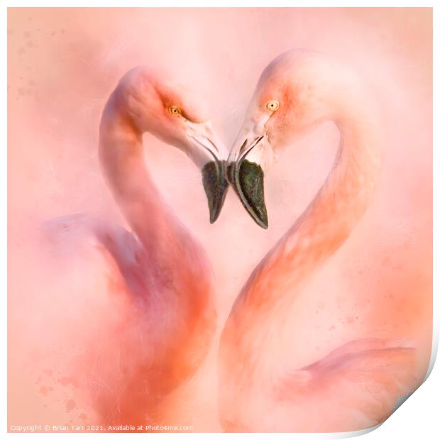 Love is a Flamingo heart Print by Brian Tarr